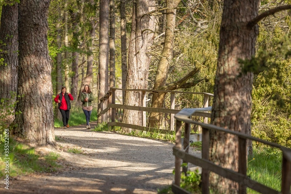 Obraz The road in the park. National park in Sweden. Selective focus