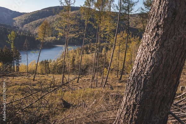 Obraz Innerstetalsperre