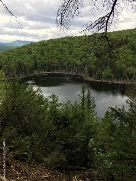 Obraz lake in the forest