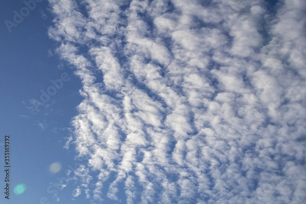 Fototapeta Deep blue sky and white cloud background.Altocumulus clouds.