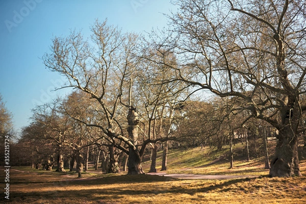 Obraz Park in Rome in early spring