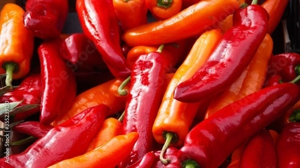 Obraz delicious red and yellow pepper