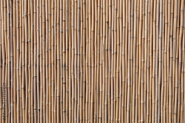 Fototapeta bambusrohr
