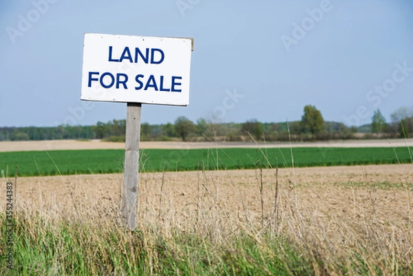 Obraz A sign is in front of the land. For sale. Blue text.
