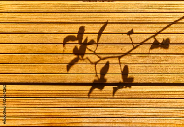 Obraz Wood wall in the shadows