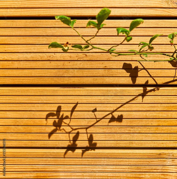 Obraz Wood wall in the shadows