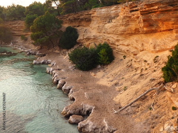 Obraz Costa con algas