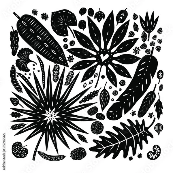 Fototapeta Tropical plants and palms leaves nuts and seeds isolated on background. Stylised cartoon hand drawn decorative vector elements for design. 