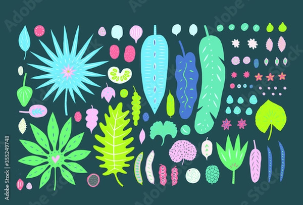 Fototapeta Tropical plants and palms leaves nuts and seeds isolated on background. Stylised cartoon hand drawn decorative vector elements for design. 