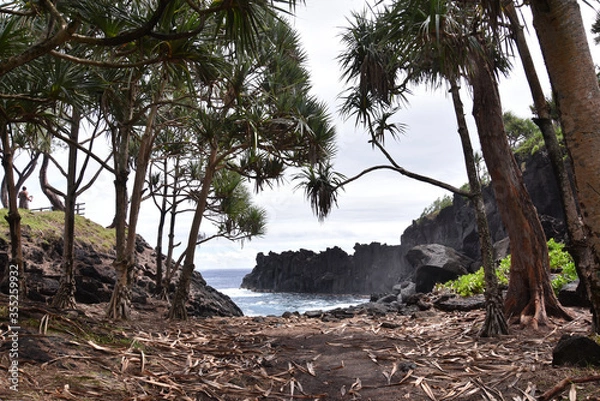 Obraz Une envie d'y aller