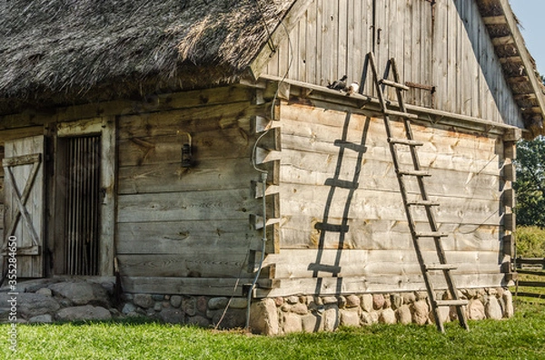 Obraz Wooden ladder leaning on a hut in the country