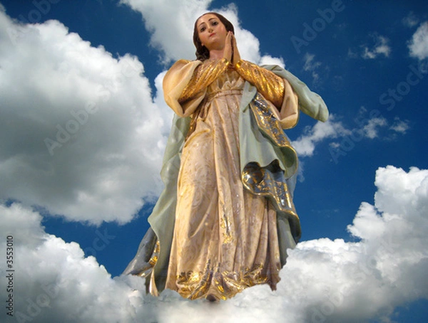 Obraz virgin mary