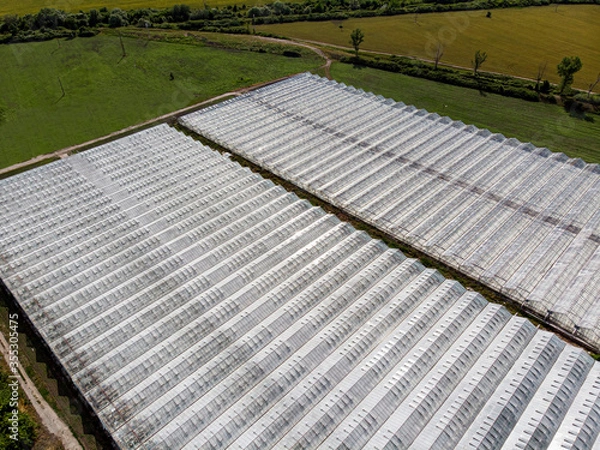Obraz Greenhouse for early fruits and vegetables. Aerial photo.