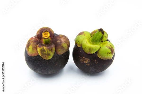 Obraz Two mangosteen placed on the white ground.