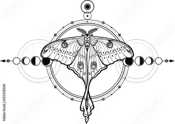 Fototapeta Mystical drawing: tropical butterfly, sacred geometry, moon phases, energy circles. Alchemy, magic, esoteric, occultism. Monochrome Vector Illustration isolated on a white background