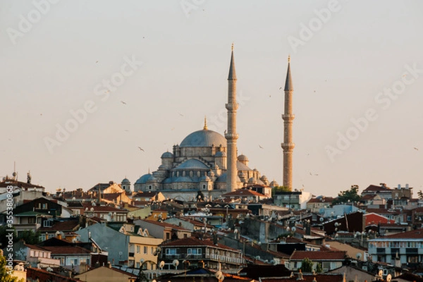 Fototapeta Blue Mosque or Sultanahmet Camii in Istanbul, Turkey. Scenic view of the beautiful Blue Mosque in summer. Nice panorama of the famous historical mosque in the old center of Istanbul.