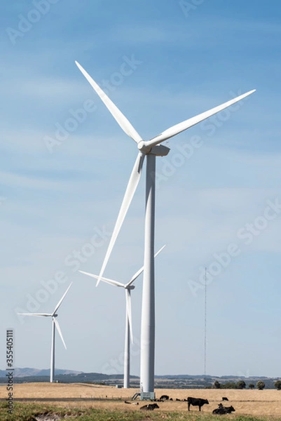 Fototapeta wind turbine in the field