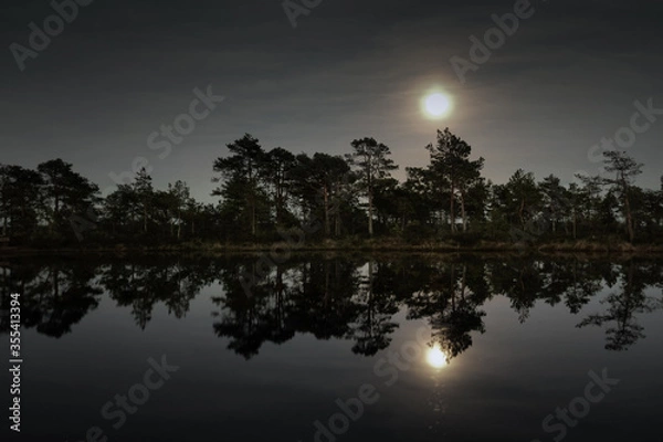 Obraz moonlit night in the swamp