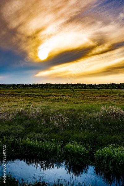 Obraz Zachód słońca nad łąką 