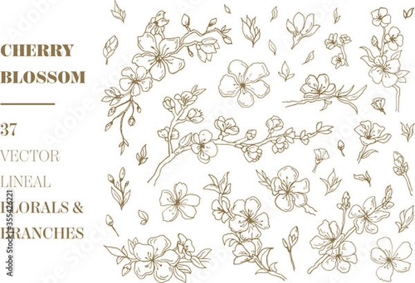 Obraz Cherry Blossom vector florals and branches