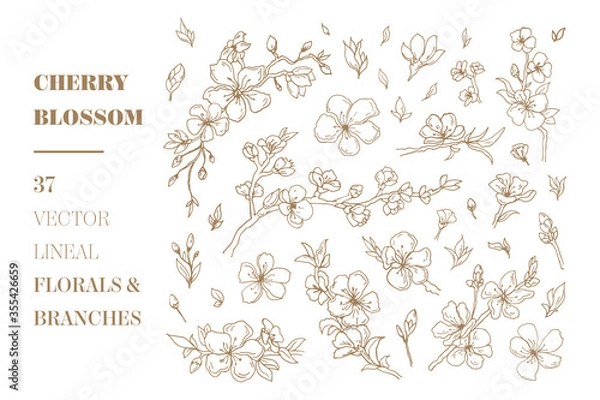 Obraz Cherry Blossom vector florals and branches