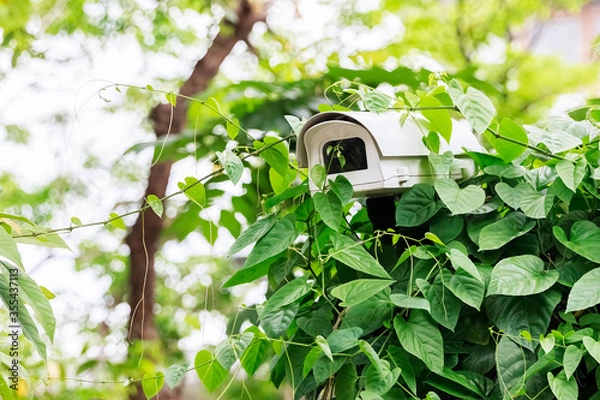 Obraz Spy White Camera in the Shrub, Closeup