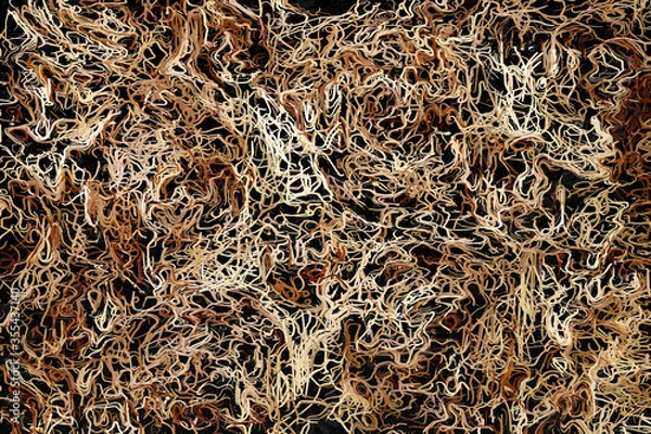 Fototapeta Abstract Brown Fabric Texture and Background