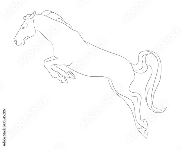 Fototapeta horse vector illustration, line drawing, vector