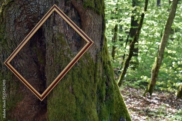 Obraz Ramka na drzewie. 