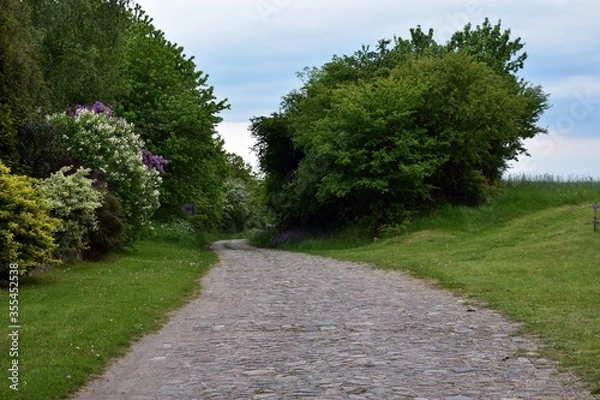 Obraz Brukowa droga. 