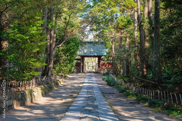 Fototapeta 鎌倉 寿福寺 参道と山門（総門）