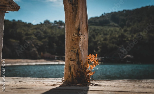 Obraz Plant with beach background
