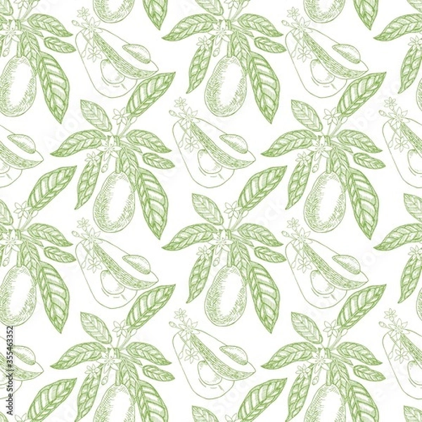Fototapeta Green Avocado seamless pattern on a white background. Botanical illustrations in the engraving style.Tropical plant.