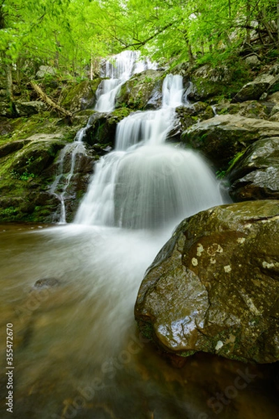Fototapeta The Upper Falls at Dark Hollow Falls on a Spring Morning