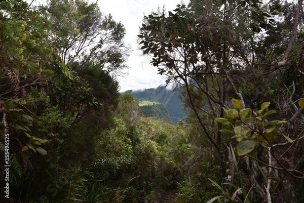 Obraz Vue sur prairie