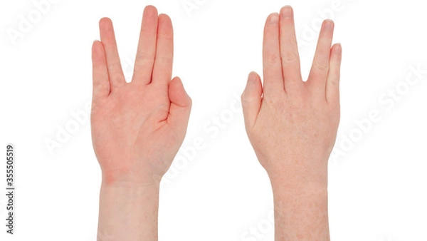 Fototapeta Freckled white hands. Isolated woman's hand, front and back, in the posture of the Vulcan salute with the thumb tucked in