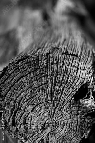 Obraz old wood background