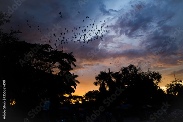 Fototapeta sunset in the clouds