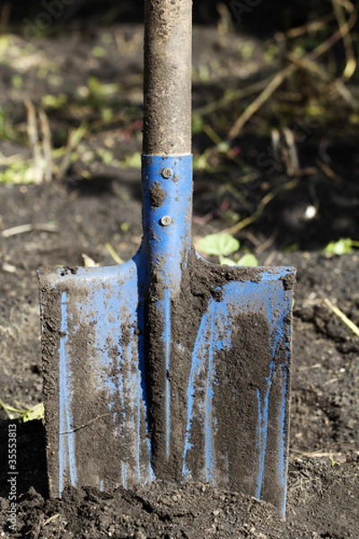 Fototapeta Tool shovel stuck ground