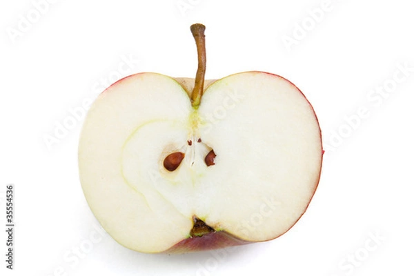 Fototapeta Cut - "Ingrid Marie"