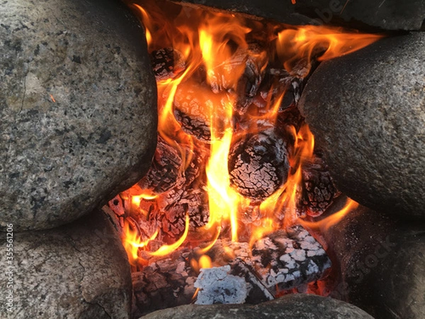 Fototapeta fire in a fireplace