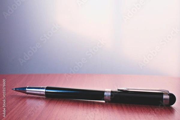 Obraz Pluma negra elegante