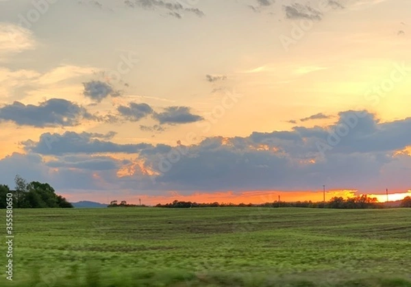 Obraz sunset over the field