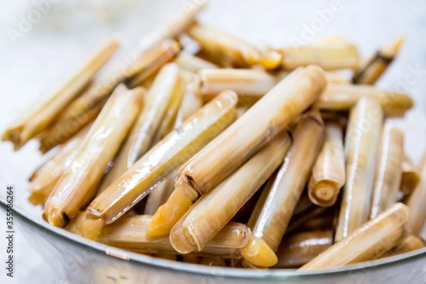 Obraz Cannolicchi freschi