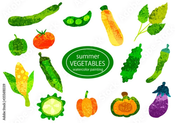 Fototapeta 夏野菜セット　手描き水彩テクスチャ