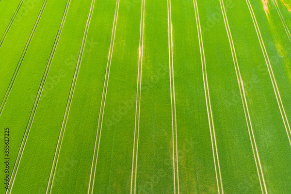 Fototapeta Aerial view over green lush agricultural crop fields