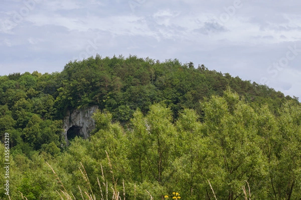Fototapeta Trees on the slopes of the mountains. Blue cloudy sky.  