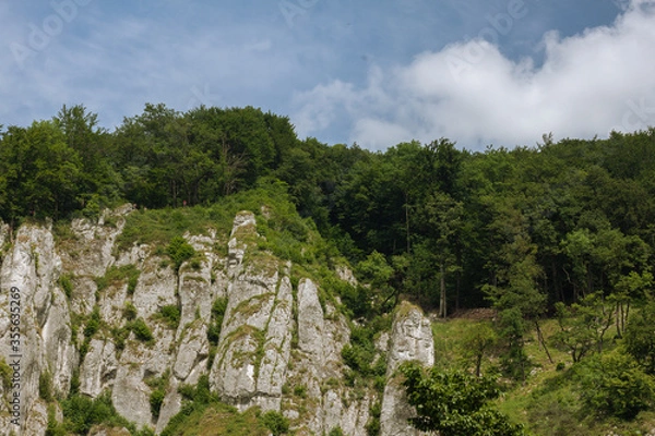 Fototapeta Trees on the slopes of the mountains. Blue cloudy sky.  
