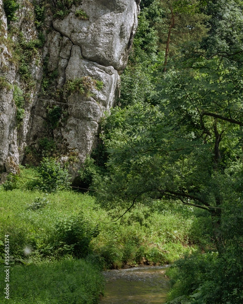 Fototapeta A small river in the forest at the foot of the mountain.