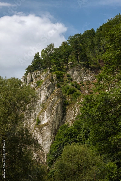 Fototapeta Trees on the slopes of the mountains. Blue cloudy sky.  